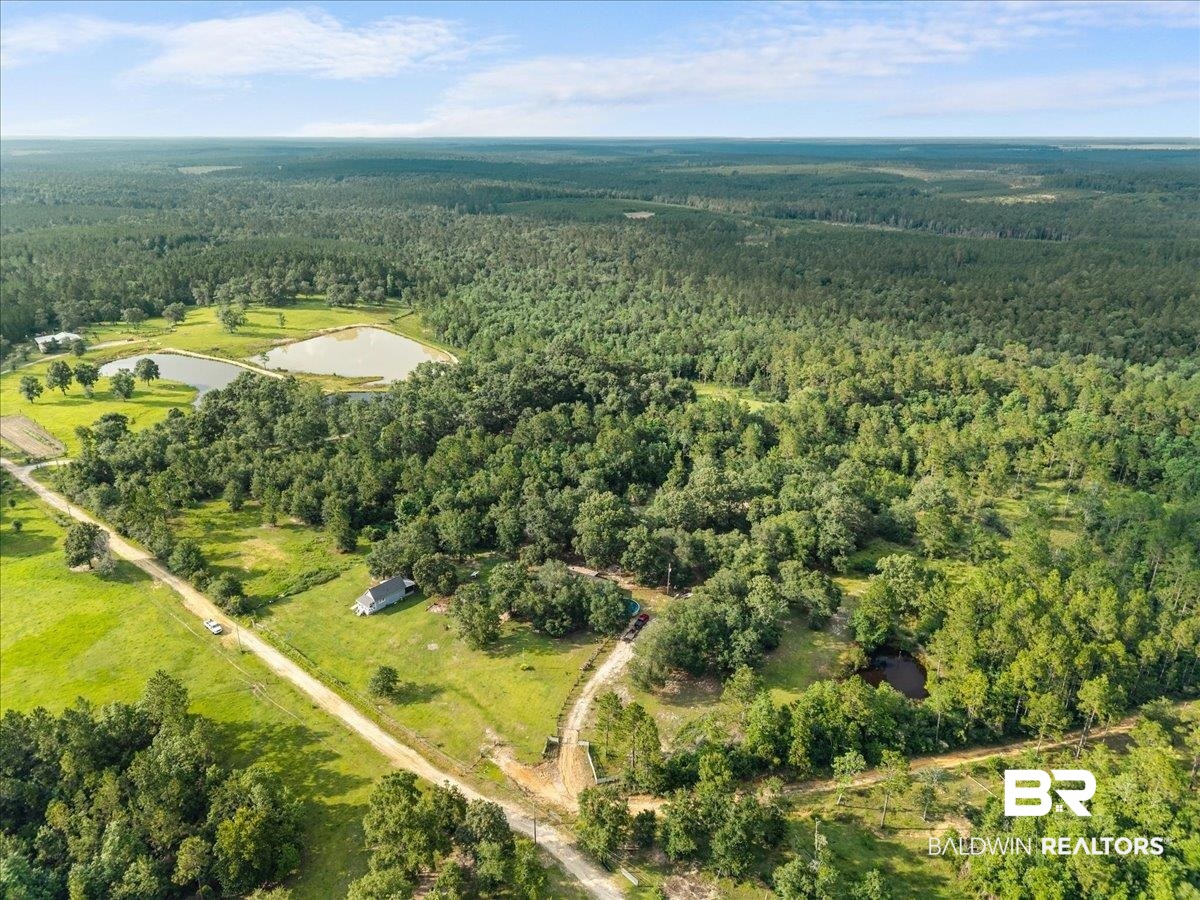 21011 River Road Robertsdale, AL 36567 - Photo 26 of 29 Extensive rural landscape featuring multiple ponds, a secluded residence, and an unpaved private road