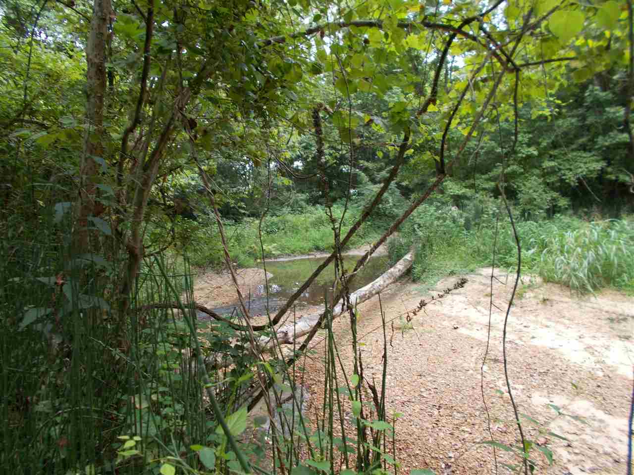 2600 Dr Lewis Road Ripley, TN 38063 - Photo 3 of 18