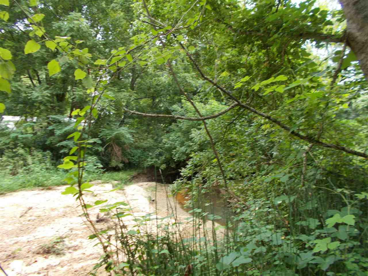 2600 Dr Lewis Road Ripley, TN 38063 - Photo 4 of 18