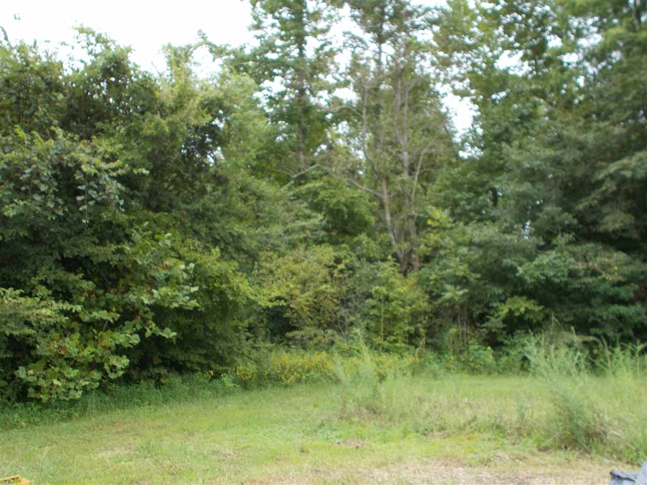 2600 Dr Lewis Road Ripley, TN 38063 - Photo 5 of 18