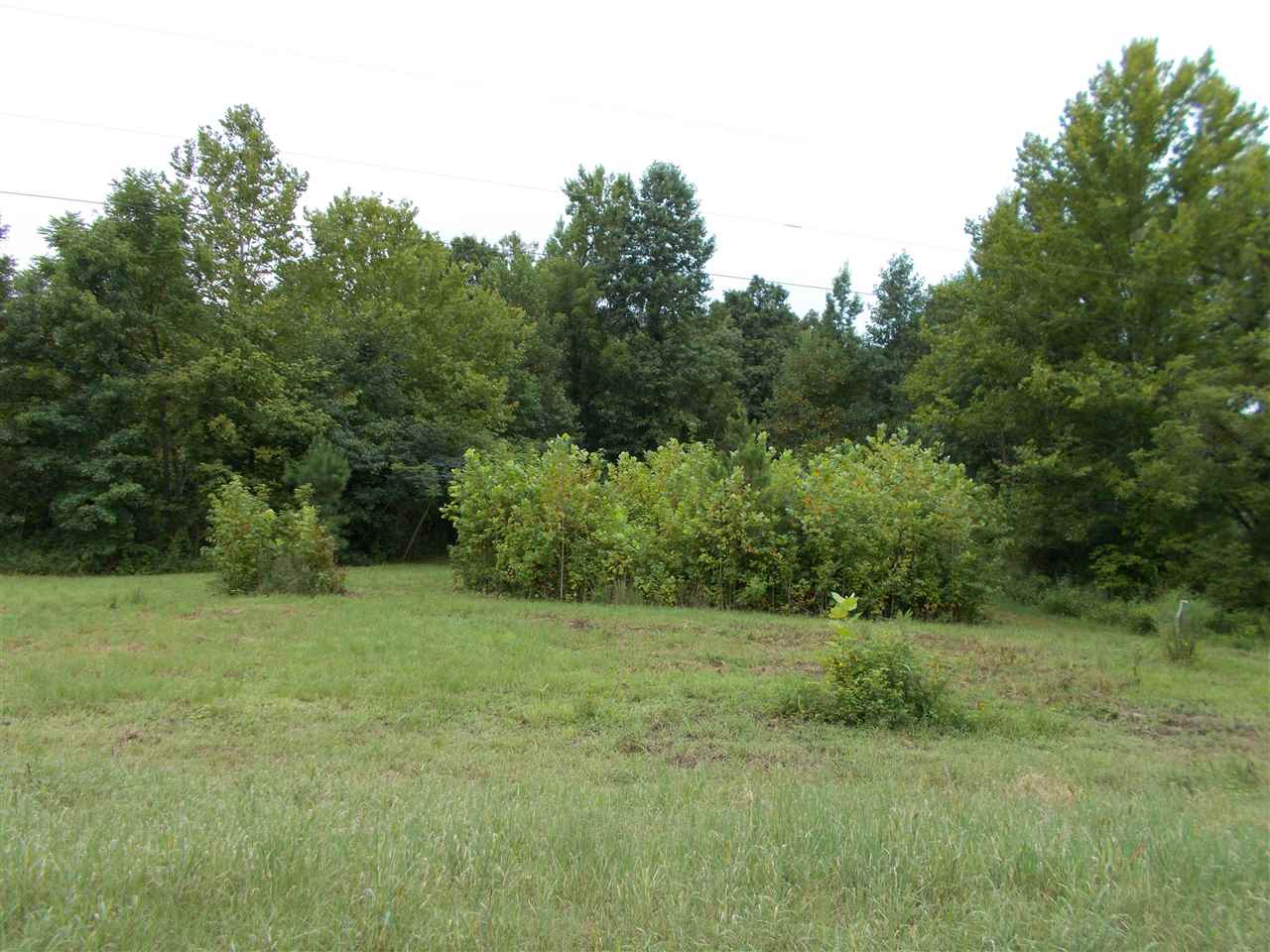 2600 Dr Lewis Road Ripley, TN 38063 - Photo 10 of 18