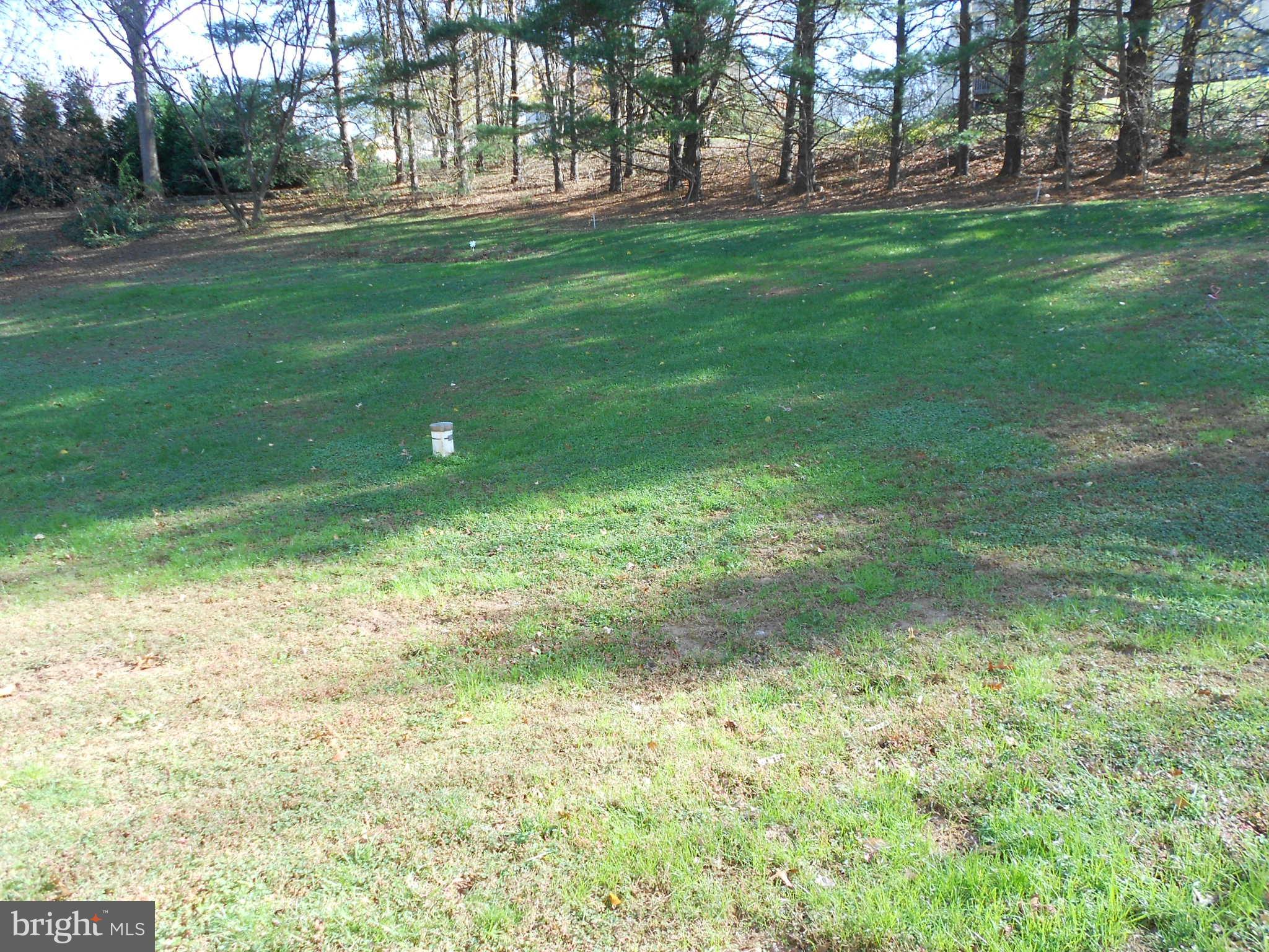 2211 Furnace Road Fallston, MD 21047 - Photo 40 of 43 Rear Yard