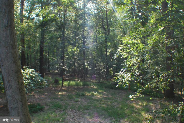 14027 Triadelphia Mill Road Dayton, MD 21036 - Photo 28 of 30 View
