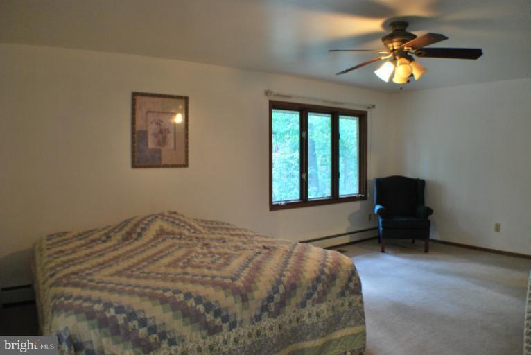 14027 Triadelphia Mill Road Dayton, MD 21036 - Photo 4 of 30 Bedroom (Master)