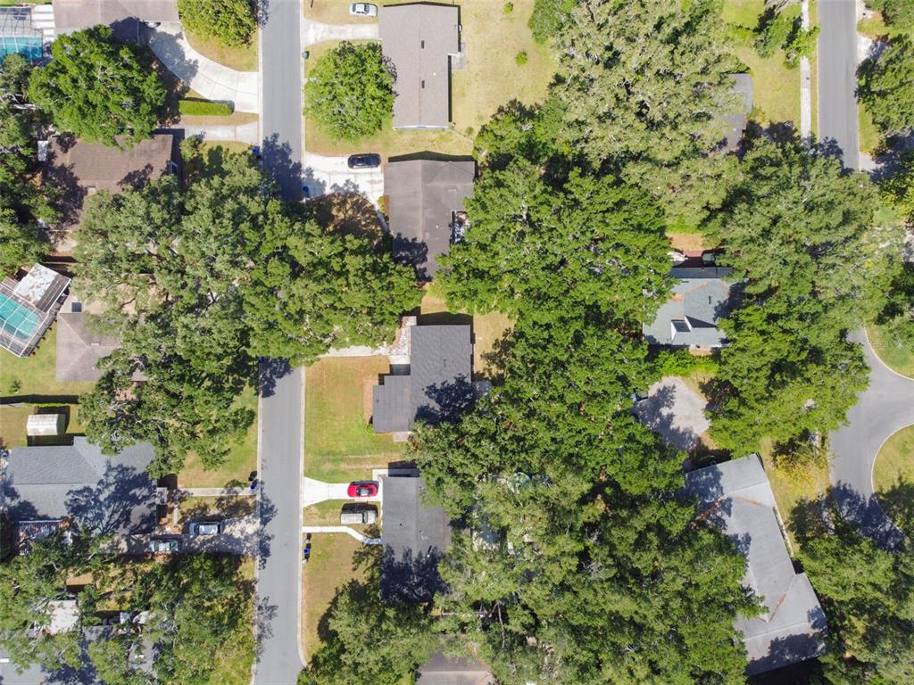 535 West Palmeden Drive Lakeland, FL 33803 - Photo 62 of 71