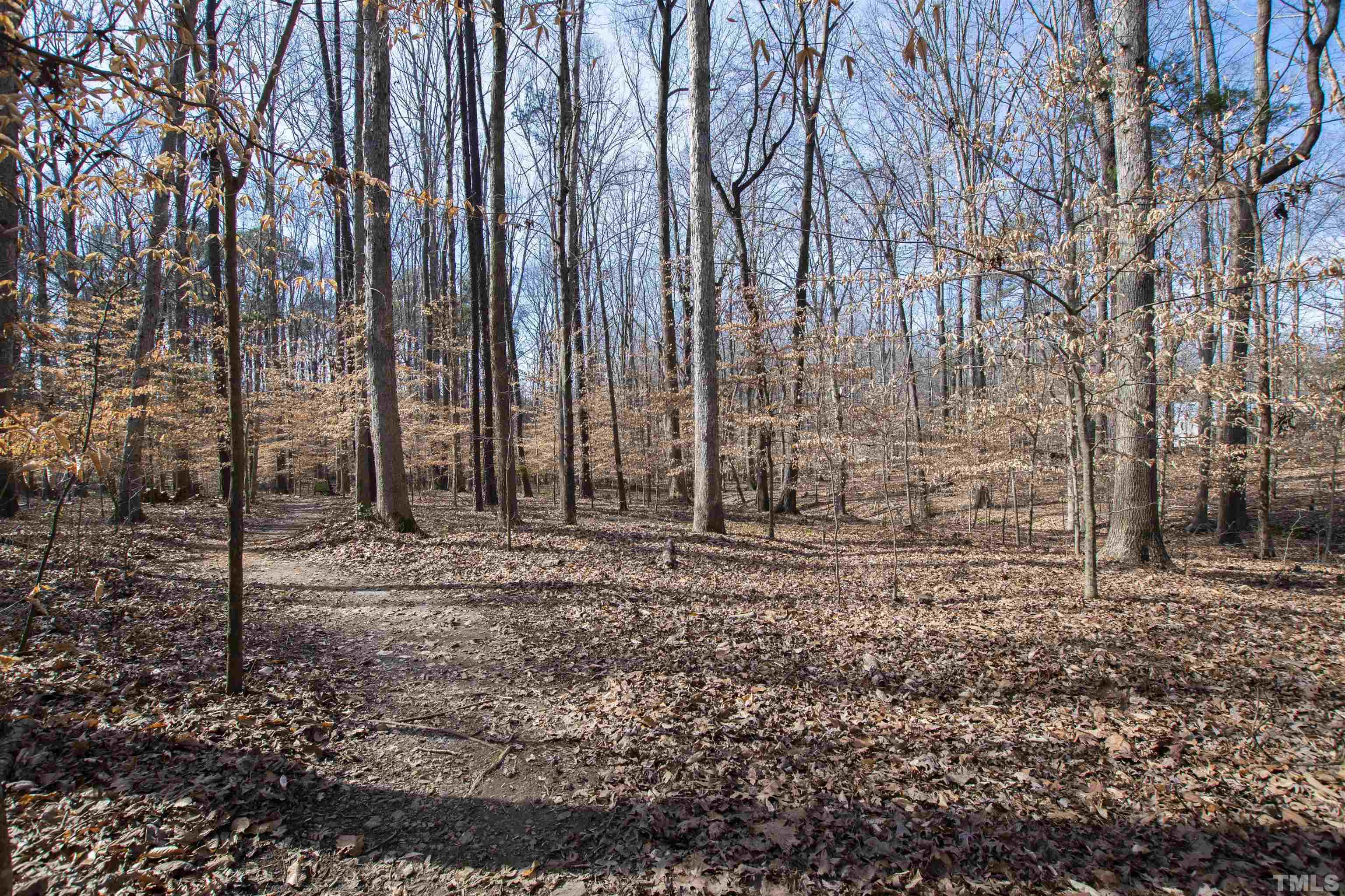 9429 Barton Creek Road Raleigh, NC 27615 - Photo 66 of 78 a view of a backyard of the house
