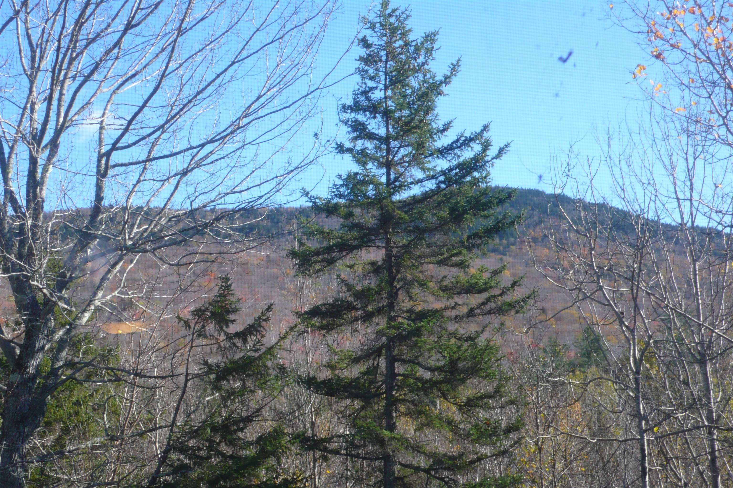 28 Packard's Road, Unit 410 Waterville Valley, NH 03215 - Photo 2 of 27