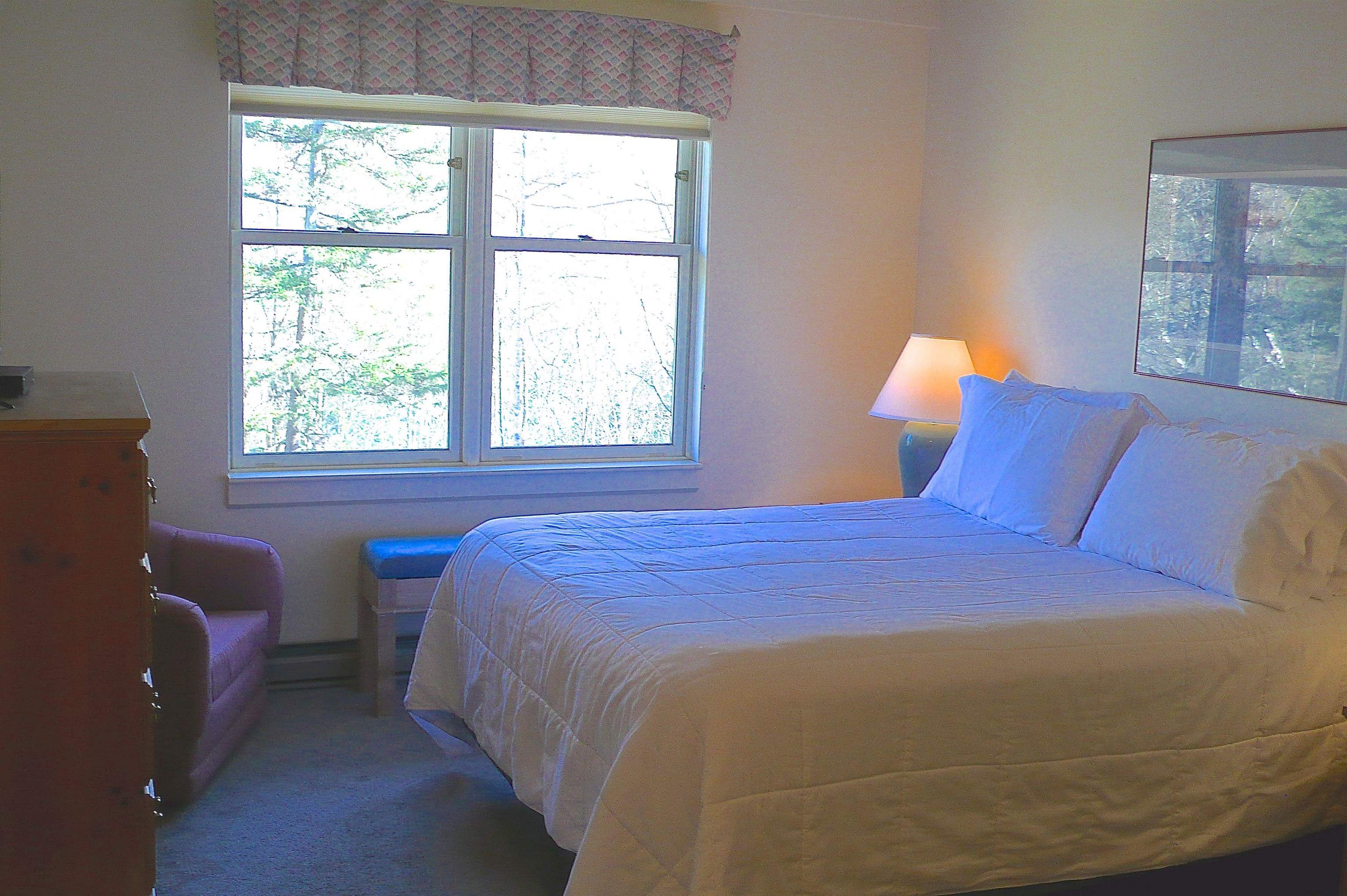 28 Packard's Road, Unit 410 Waterville Valley, NH 03215 - Photo 14 of 27
