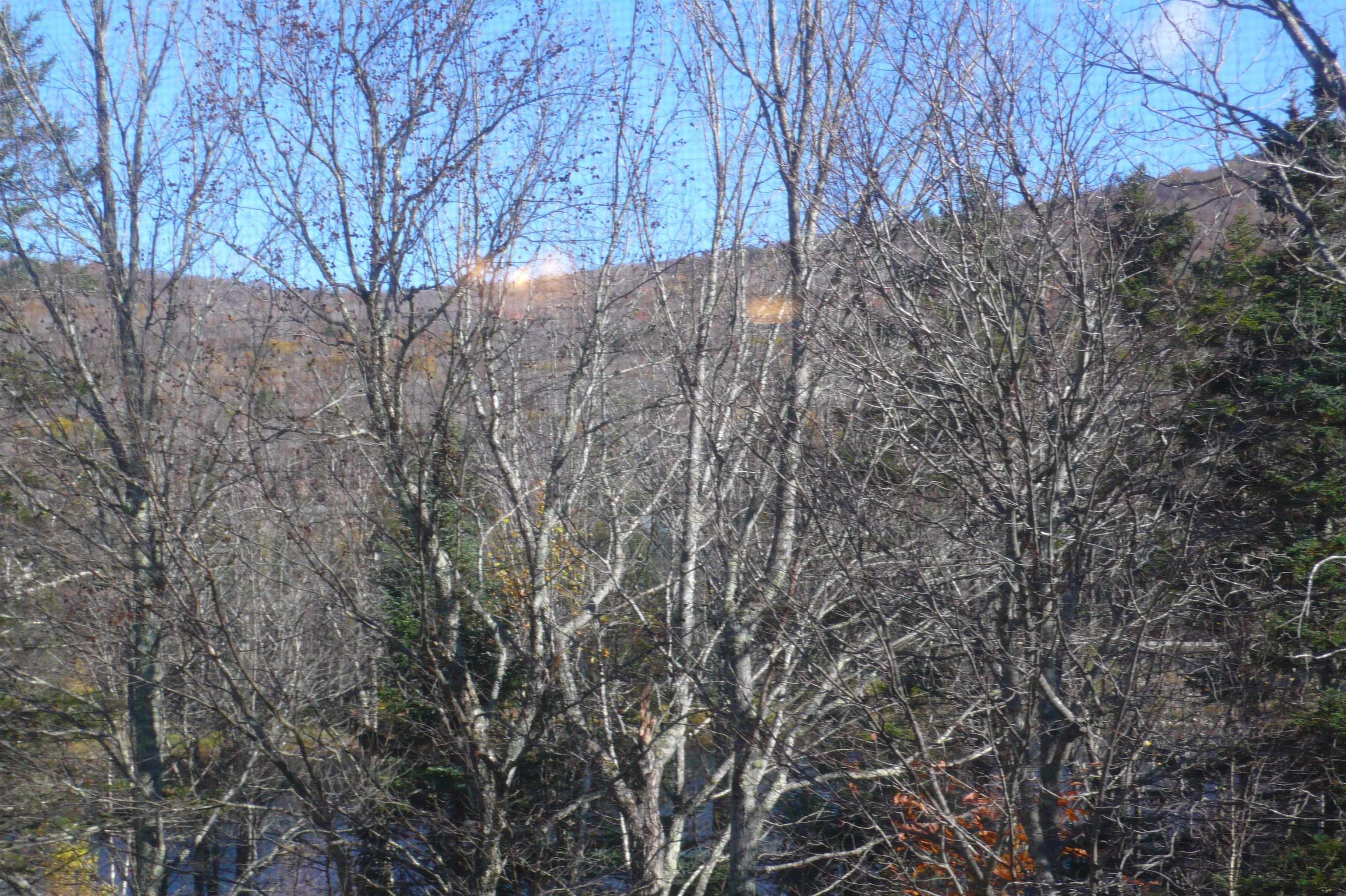 28 Packard's Road, Unit 410 Waterville Valley, NH 03215 - Photo 19 of 27