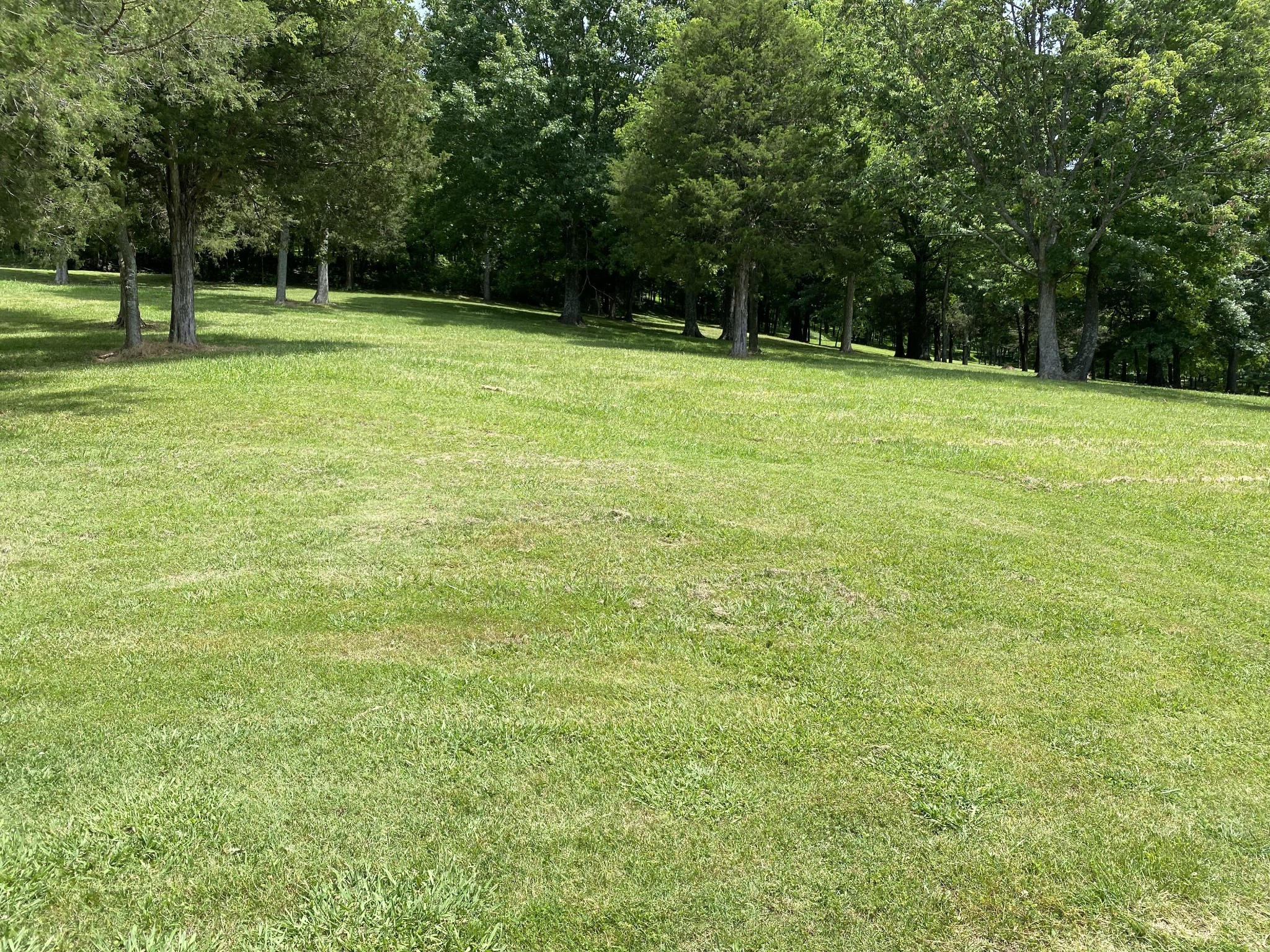 9554 L Clovercroft Road Franklin, TN 37067 - Photo 3 of 4