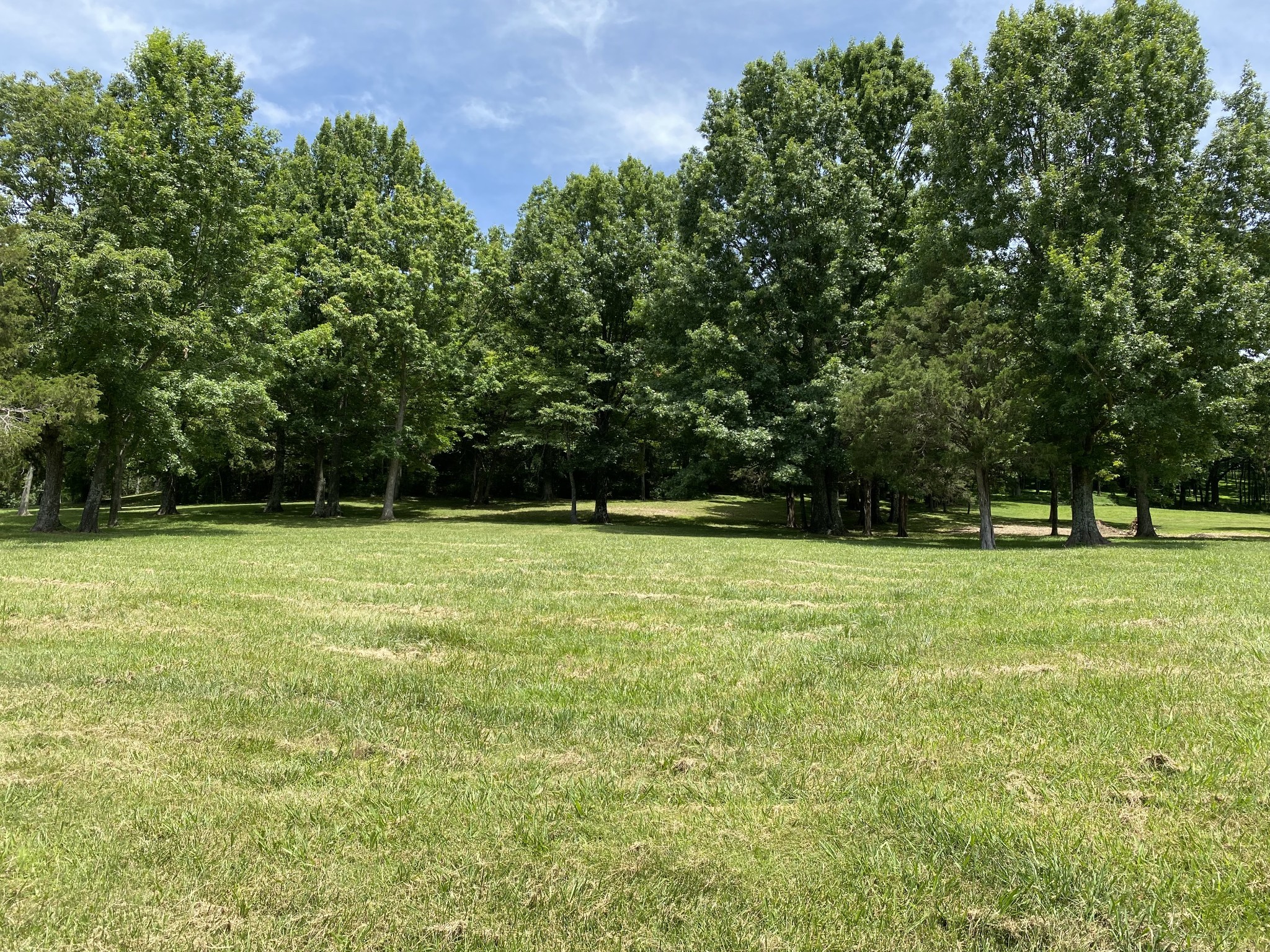 9554 L Clovercroft Road Franklin, TN 37067 - Photo 4 of 4