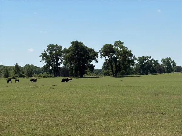 a view of outdoor space with green field and trees