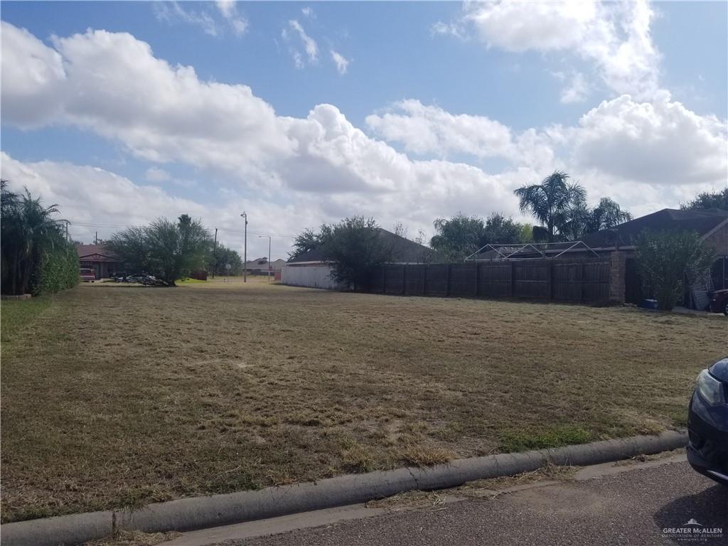 3014 Copper Avenue Mission, TX 78574 - Photo 1 of 1 a view of a yard
