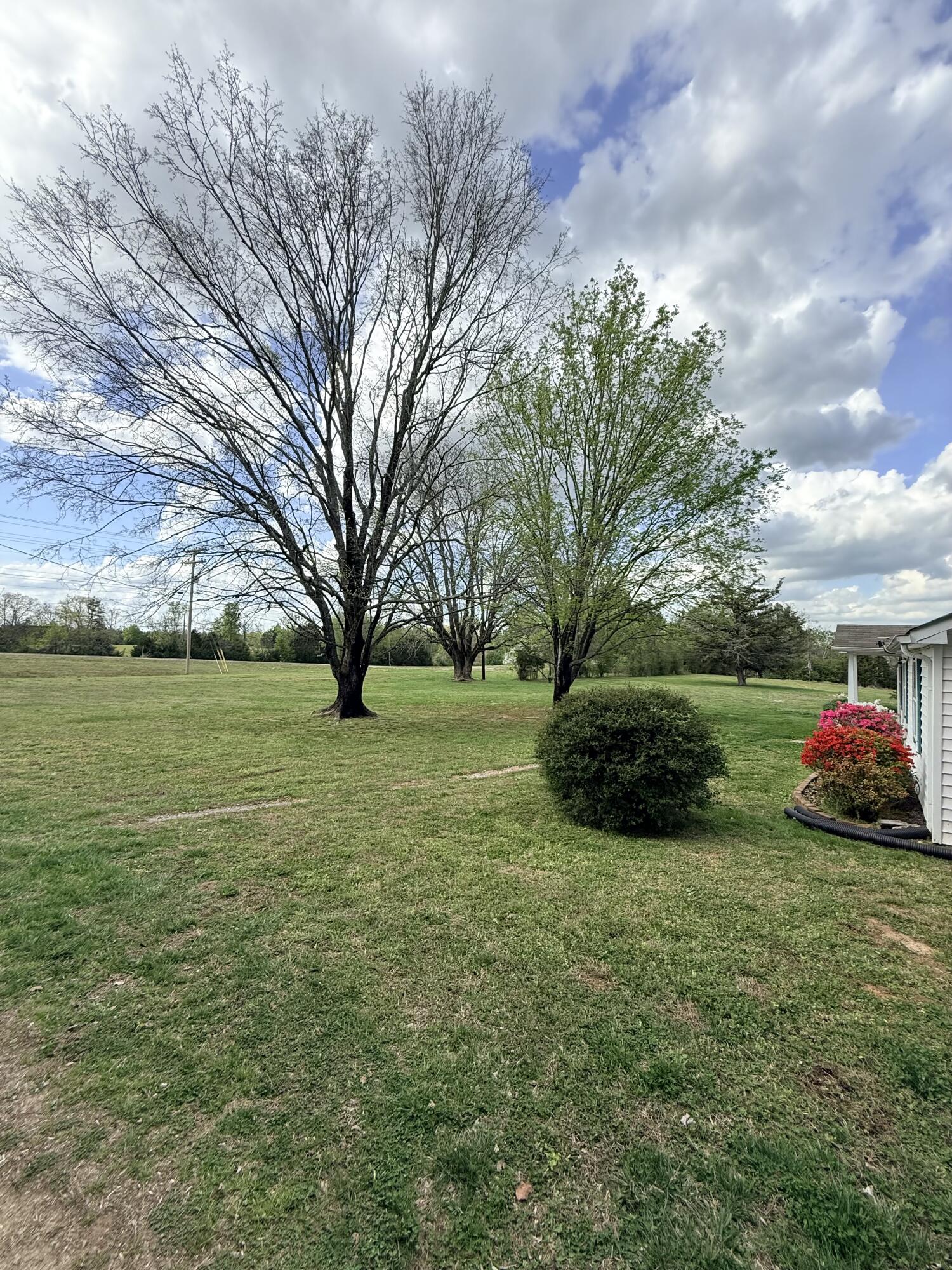 7502 Ooltewah Georgetown Road Ooltewah, TN 37363 - Photo 4 of 7 IMG_9643