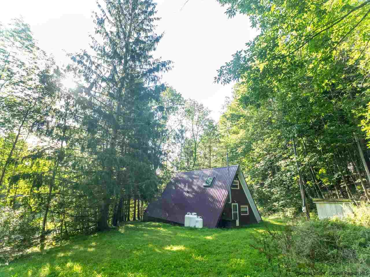 161 Pine Hill Road Shandaken, NY 12410 - Photo 12 of 19 a view of a backyard