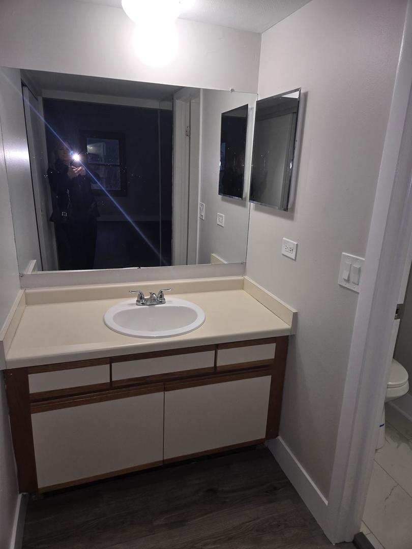 1808 Fayette Walk, Unit H Hoffman Estates, IL 60169 - Photo 10 of 11 a bathroom with a sink and a mirror
