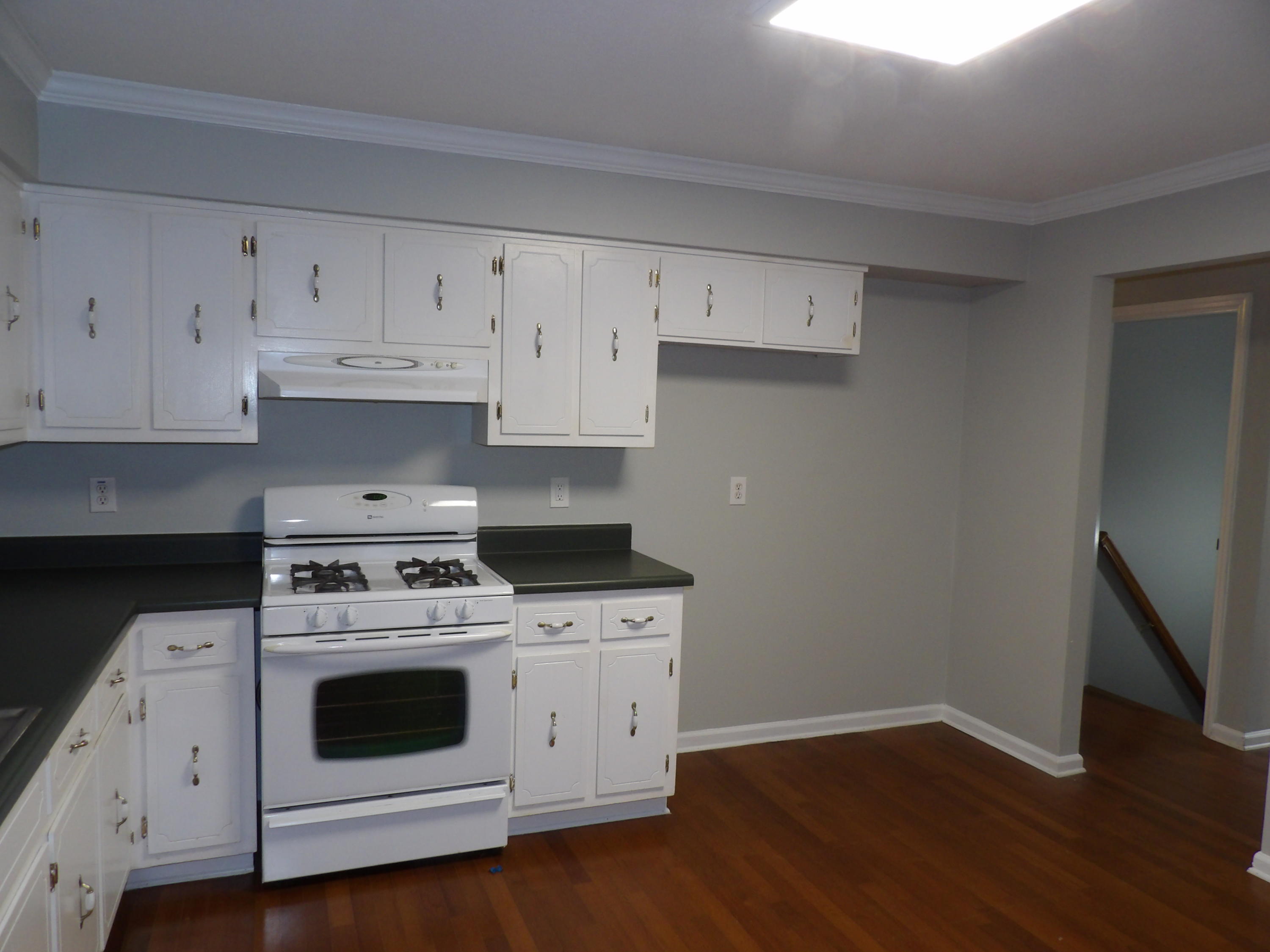 391 Timber Ridge Trail Ringgold, GA 30736 - Photo 7 of 23 100_0472