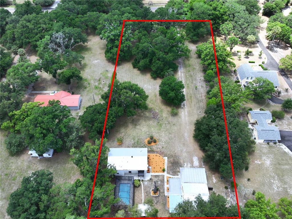 11008 Browning Road Lithia, FL 33547 - Photo 78 of 88