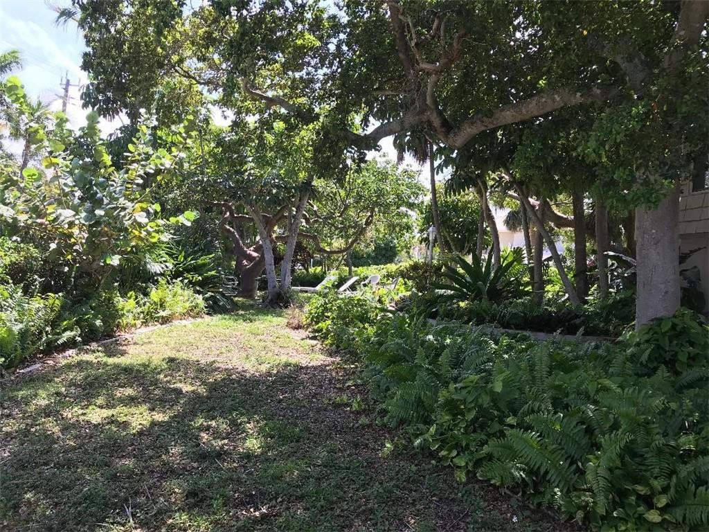 2713 Northeast 30th Avenue Lighthouse Point, FL 33064 - Photo 22 of 22 a view of a yard with plants and trees