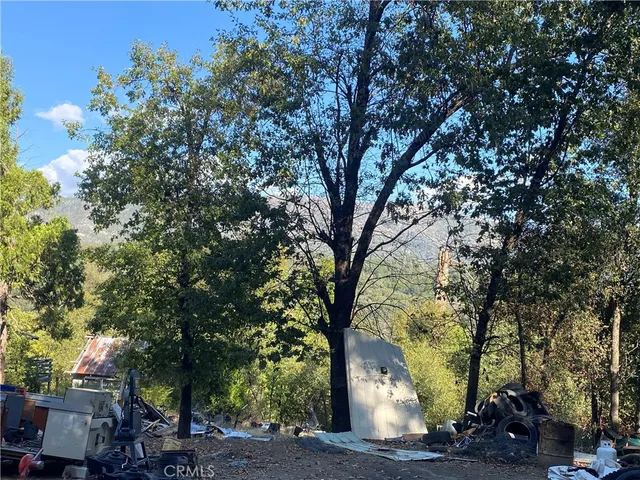 a view of backyard with a table and chairs and a large tree