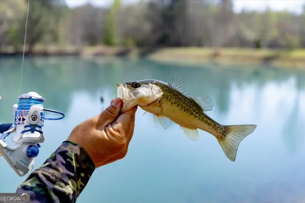 $850,000 | 1053 Highway 26, Cochran, GA 31014