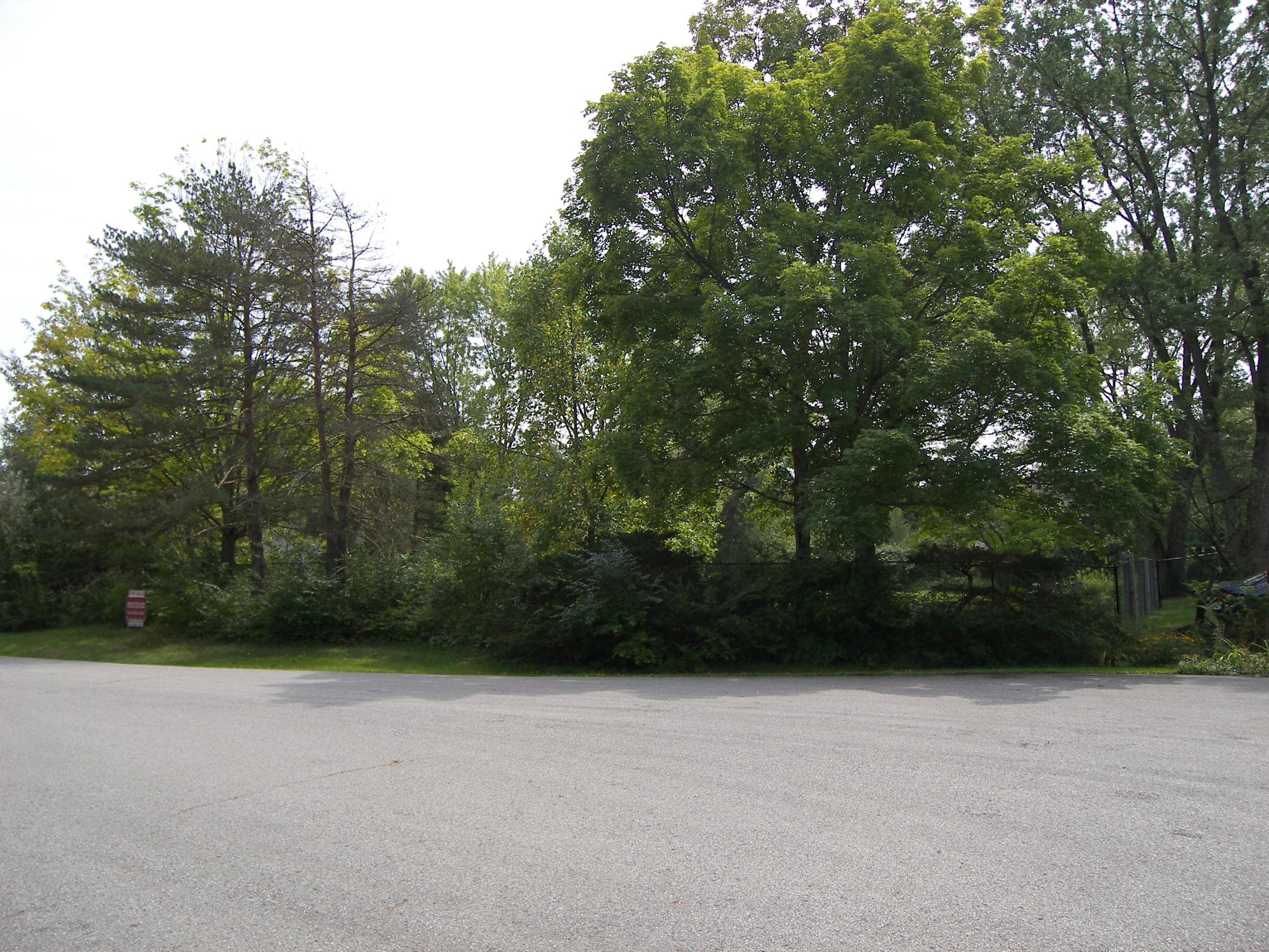 0 Heather Lane Powell, OH 43065 - Photo 16 of 18