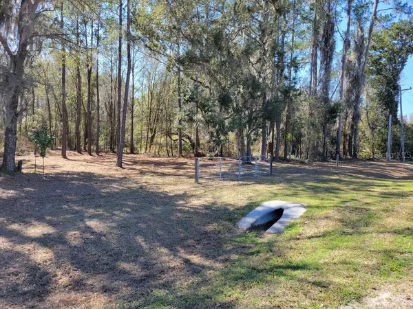 a view of a fountain with tree in the background