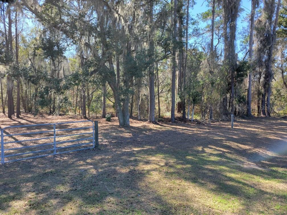 10133 Southeast Hawthorne Road Gainesville, FL 32641 - Photo 2 of 7 a view of road space with trees
