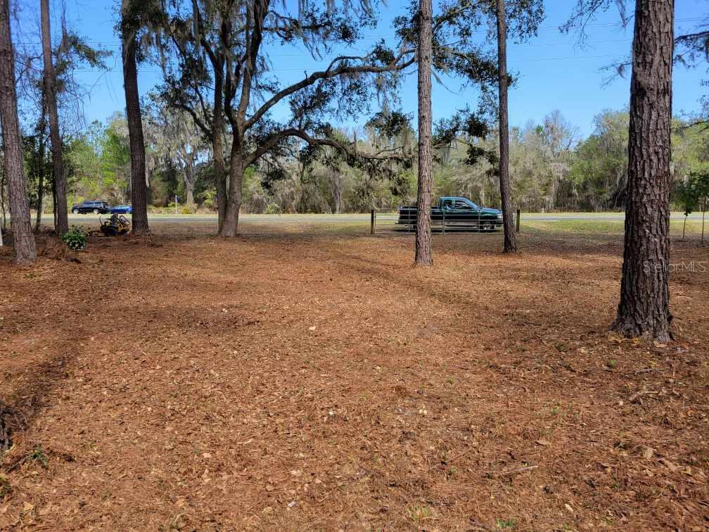 10133 Southeast Hawthorne Road Gainesville, FL 32641 - Photo 4 of 7 a view of park with tree