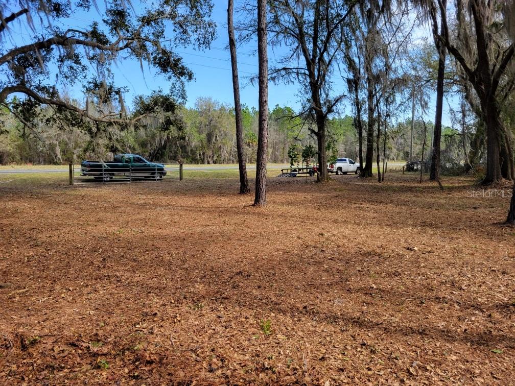 10133 Southeast Hawthorne Road Gainesville, FL 32641 - Photo 5 of 7 a view of backyard with green space