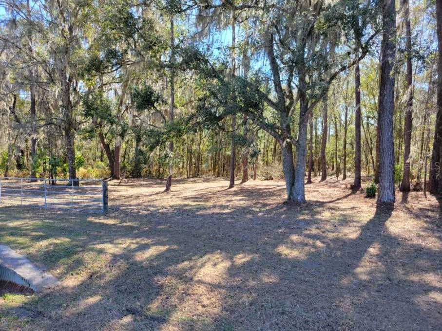 10133 Southeast Hawthorne Road Gainesville, FL 32641 - Photo 6 of 7 a view of road with trees