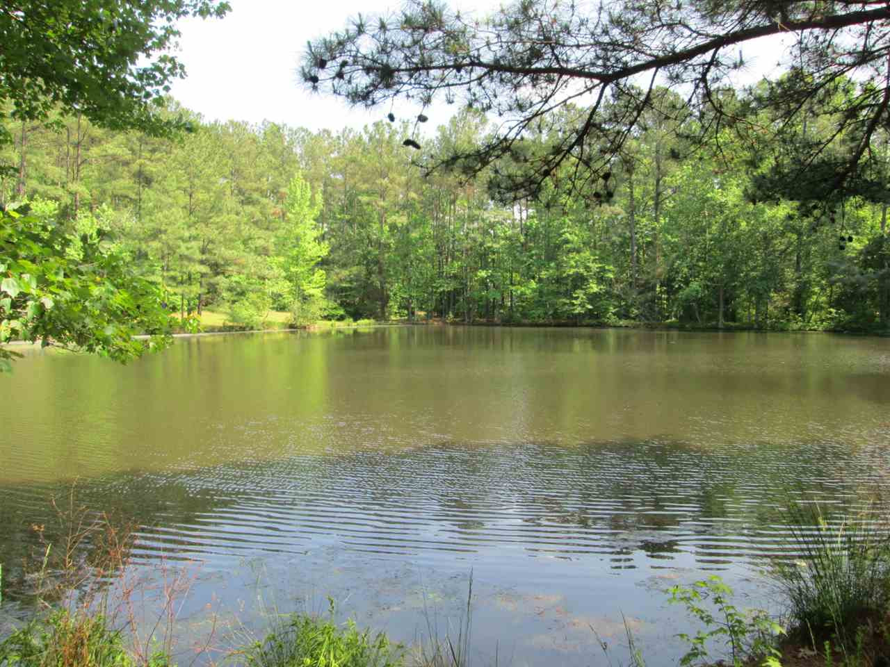 1110 Little Creek Road Durham, NC 27713 - Photo 25 of 25 Photo 25