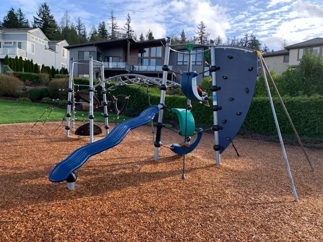a view of a park with large trees