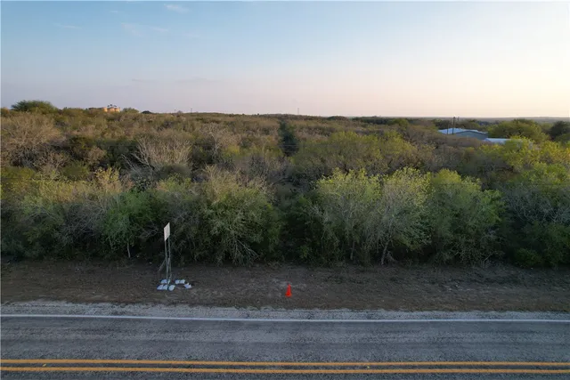 an aerial view of green landscape with trees