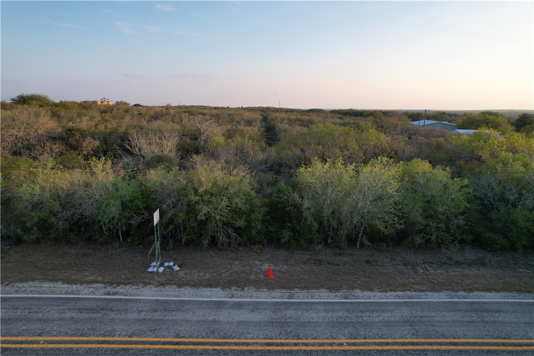 2.5 Farm To Market 534 Mathis, TX 78368 - Photo 11 of 27