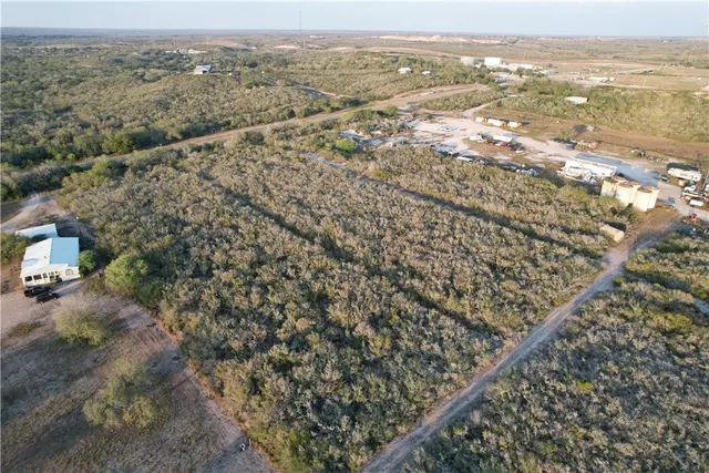 an aerial view of residential houses with outdoor space and trees