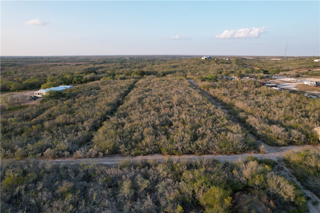 2.5 Farm To Market 534 Mathis, TX 78368 - Photo 10 of 27