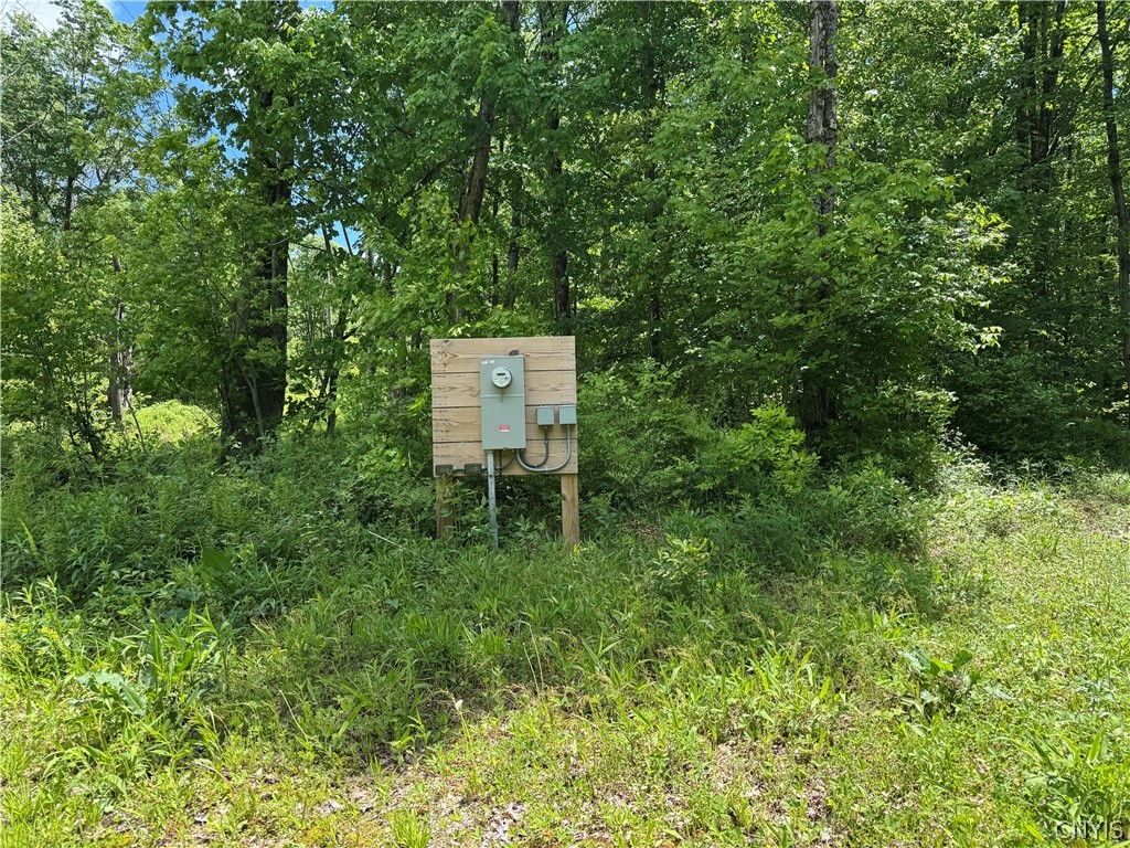 98 Wooliver Road Orwell, NY 13144 - Photo 3 of 11