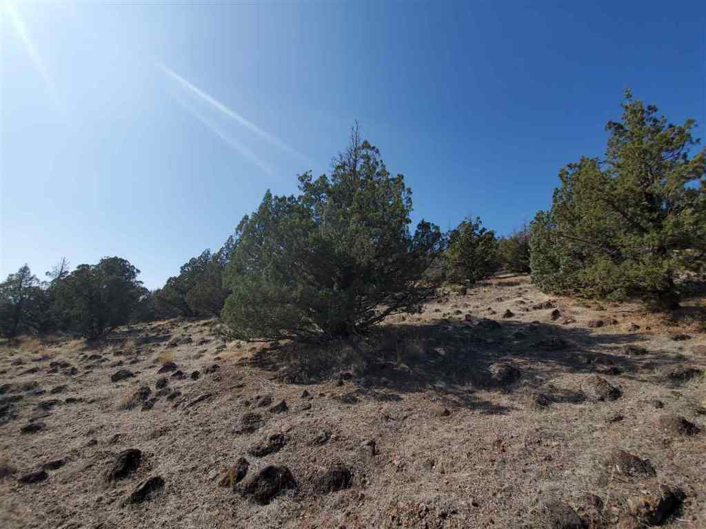 152 Dwinnell Road Weed, CA 96094 - Photo 3 of 26 Gallery Image 3