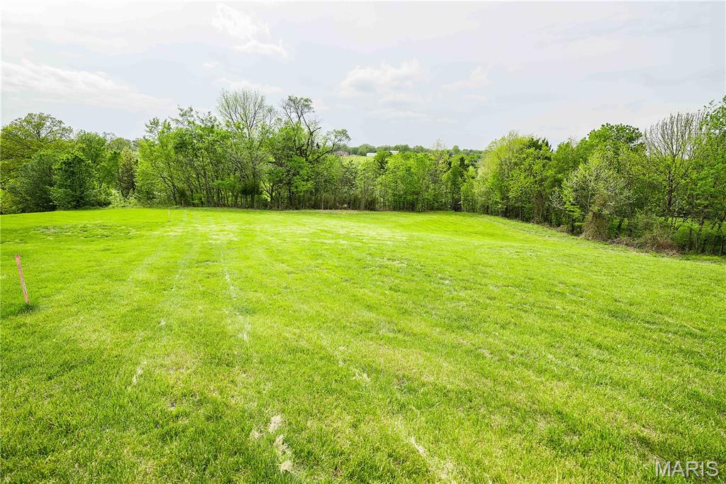 227 Willowbrook Bend Road Cape Girardeau, MO 63701 - Photo 3 of 38