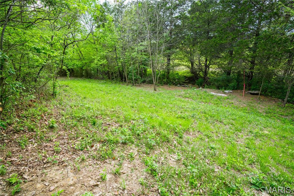 227 Willowbrook Bend Road Cape Girardeau, MO 63701 - Photo 6 of 38