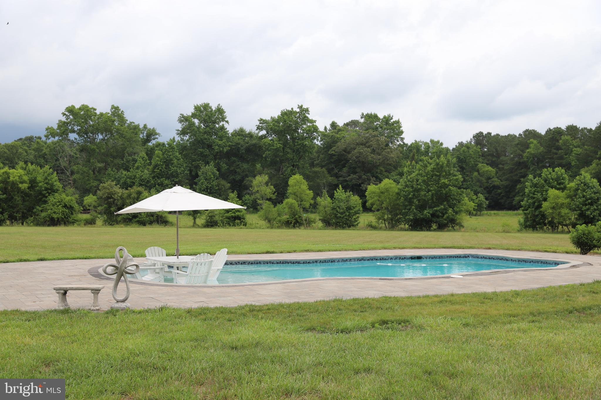 6445-60 Sixty Foot Road Pittsville, MD 21850 - Photo 10 of 43
