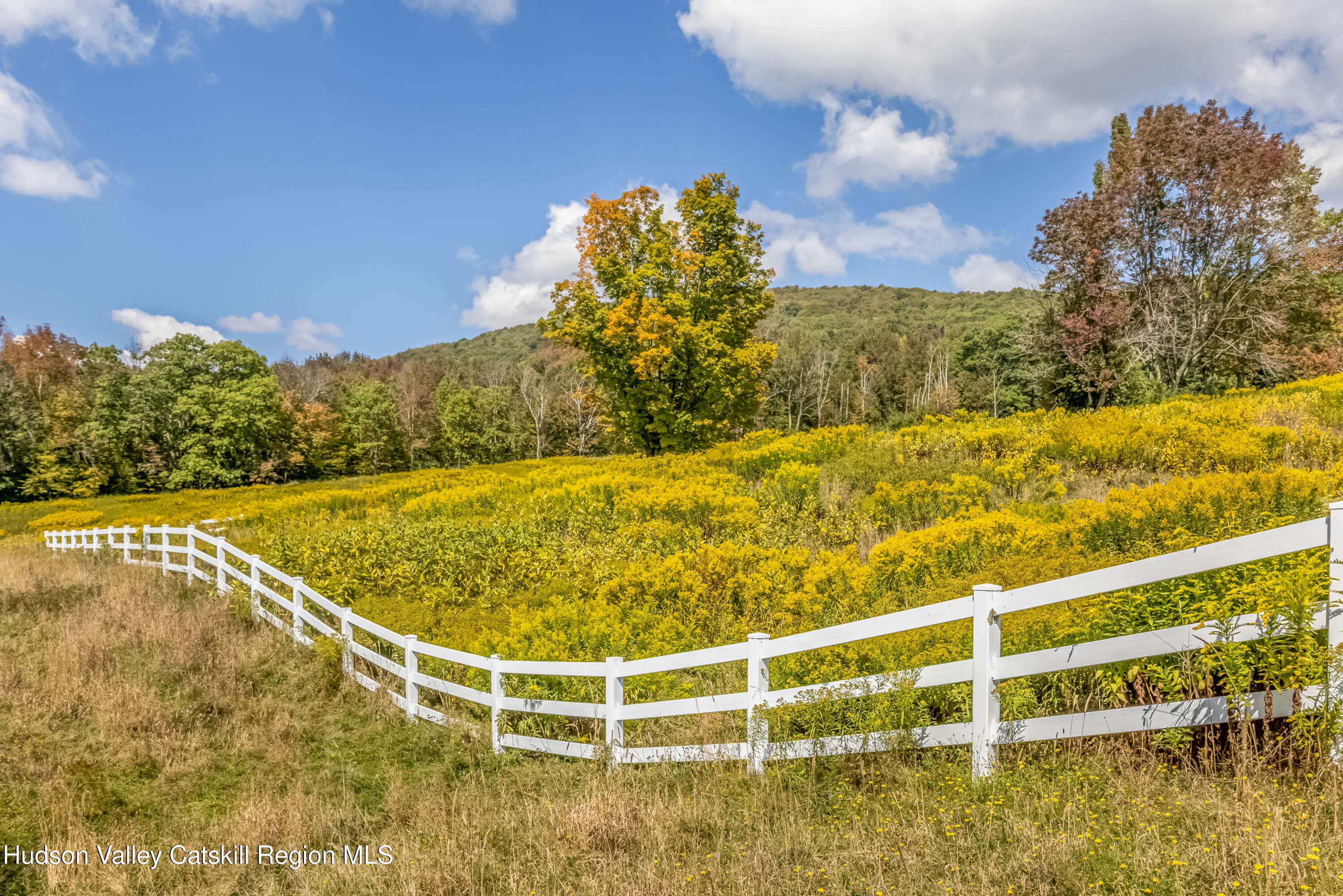 2080 Upper Meeker Hollow Road Roxbury, NY 12474 - Photo 26 of 33 2080_UpperMeekerHollow_09-15_25--20