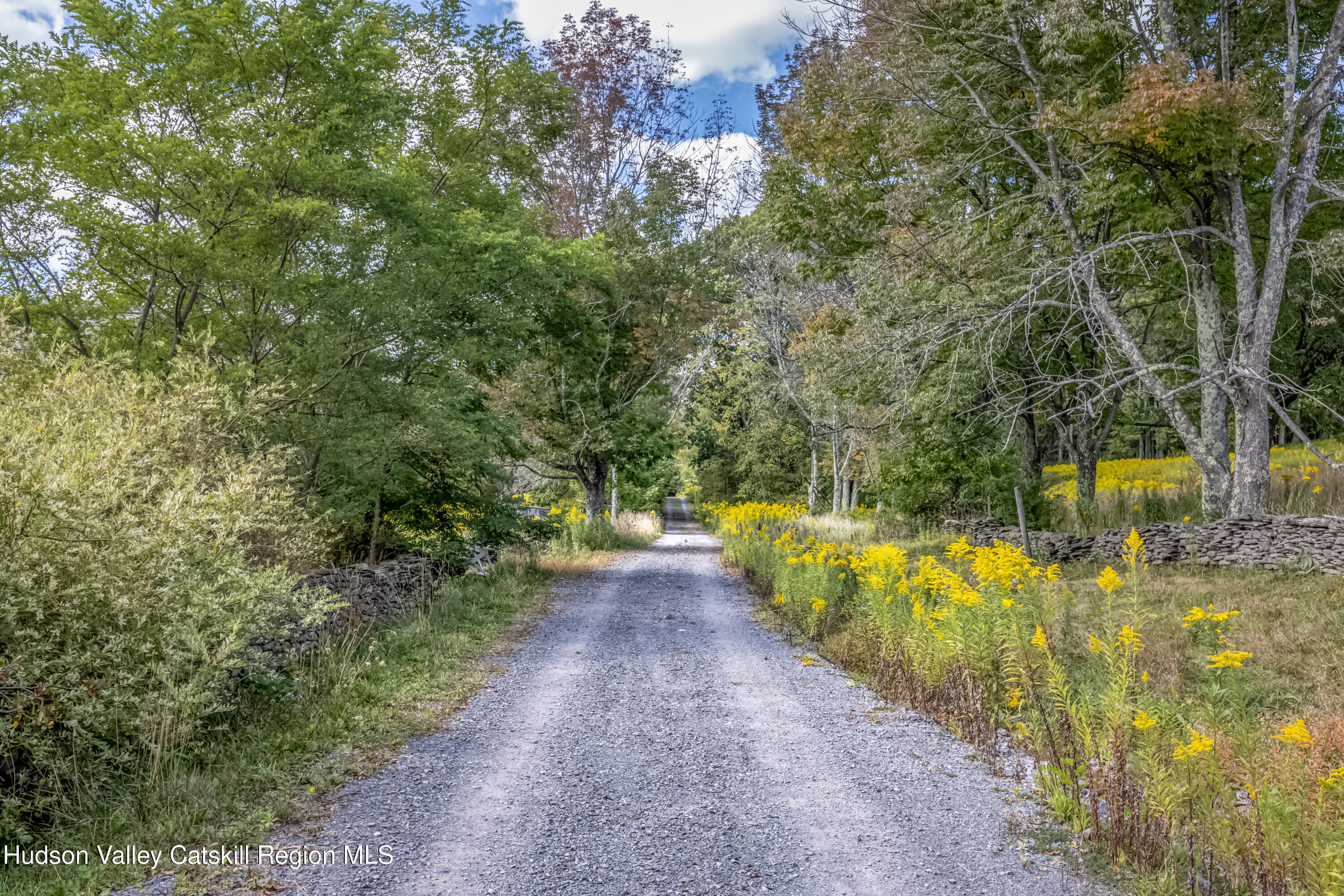2080 Upper Meeker Hollow Road Roxbury, NY 12474 - Photo 27 of 33 2080_UpperMeekerHollow_09-15_25-9461