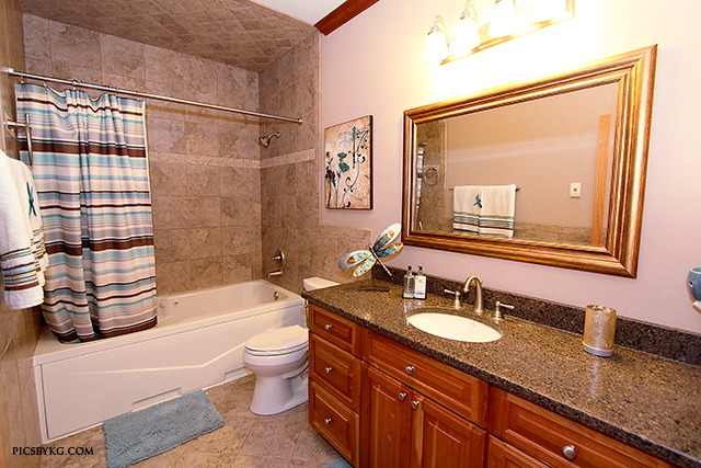 8001 East Tryon Grove Road Richmond, IL 60071 - Photo 16 of 24 a bathroom with a granite countertop sink toilet mirror and bathtub