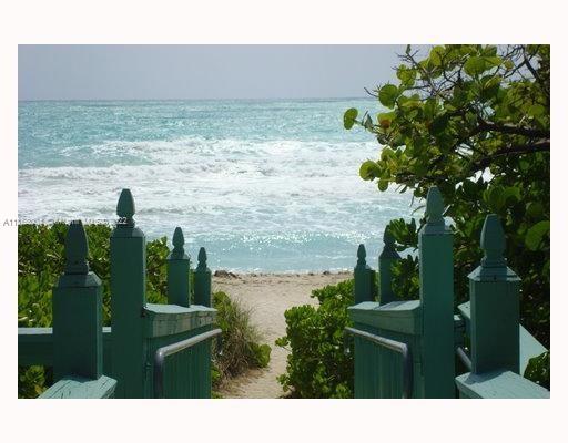 5401 Collins Avenue, Unit 833 Miami Beach, FL 33140 - Photo 19 of 25 a view of a garden
