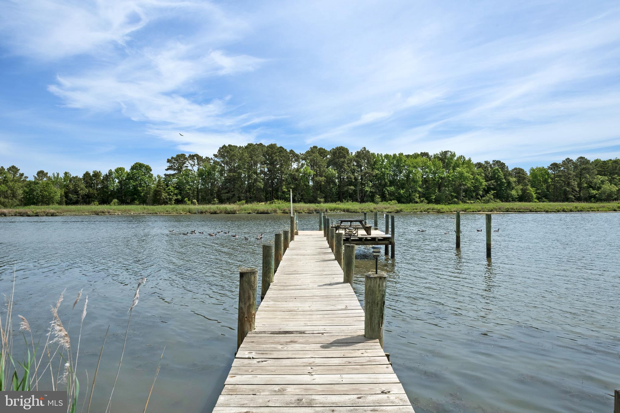 12260 Potomac View Road Newburg, MD 20664 - Photo 2 of 69 Gallery Image 2