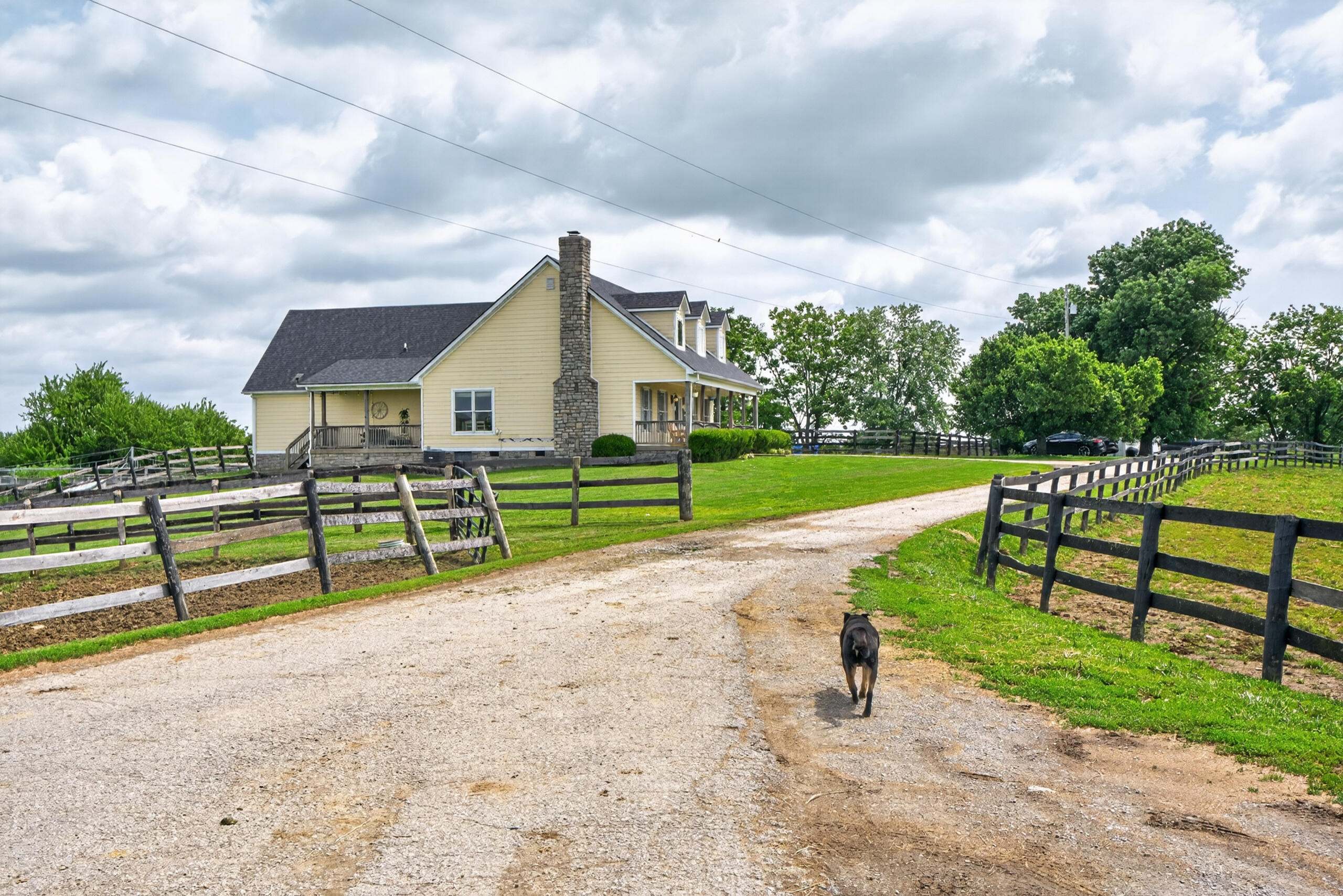 493 Levy Road Paris, KY 40361 - Photo 29 of 49 493levy37