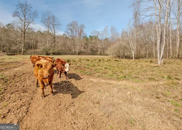 $925,000 | 50-acres Mcfarlin Bridge, Carnesville, GA 30521