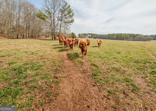 $925,000 | 50-acres Mcfarlin Bridge, Carnesville, GA 30521